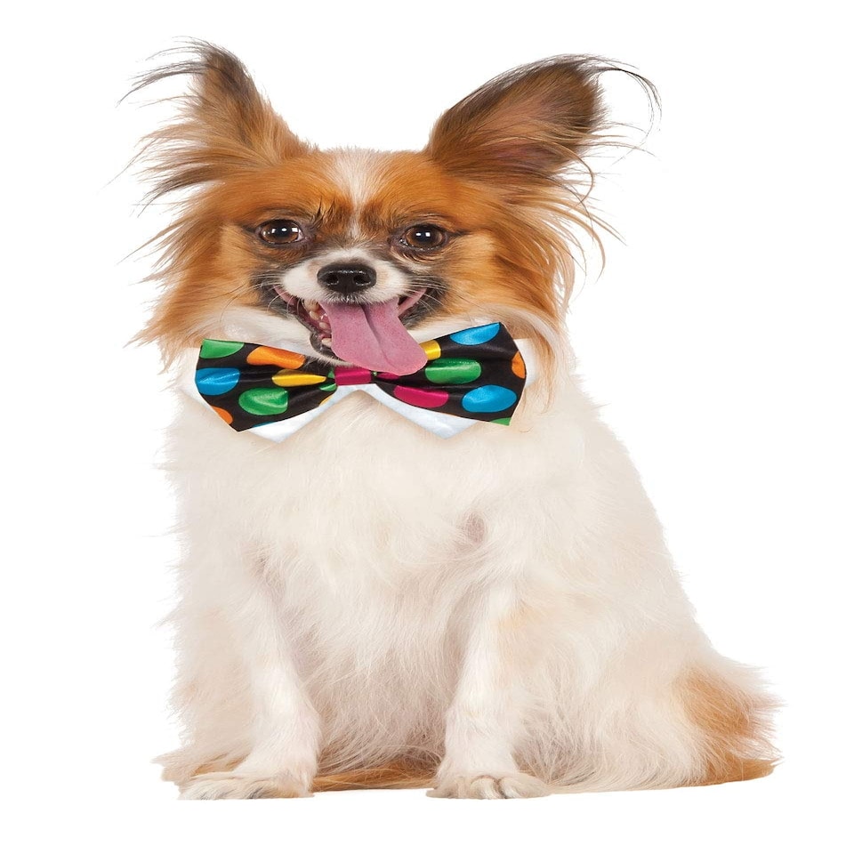 Halloween Polka Dot Bowtie Pet Costume - M-L N/A | M