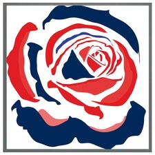 Red & blue rose print (Picutre Frame) Grey | L