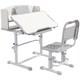 image 1 of ZONEKIZ Kids Desk and Chair Set, Height Adjustable Study Table for 6-12 Years | Grey