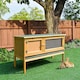 image 2 of PawHut Wooden Rabbit Hutch Bunny Cage Outdoor Small Animal House w/ Hinged Top