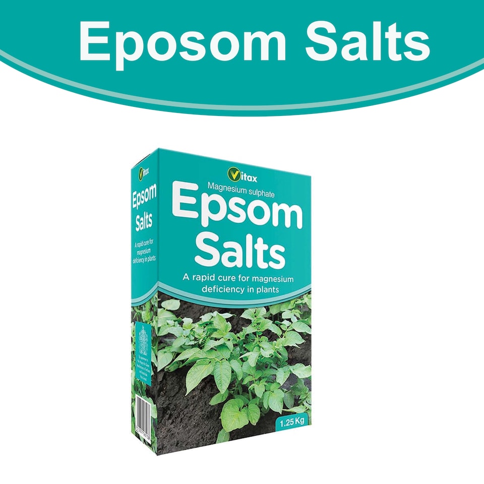 image 1 of Vitax Epsom Salts 1.25kg Fast Acting Magnesium Feed for Gardens & Houseplants