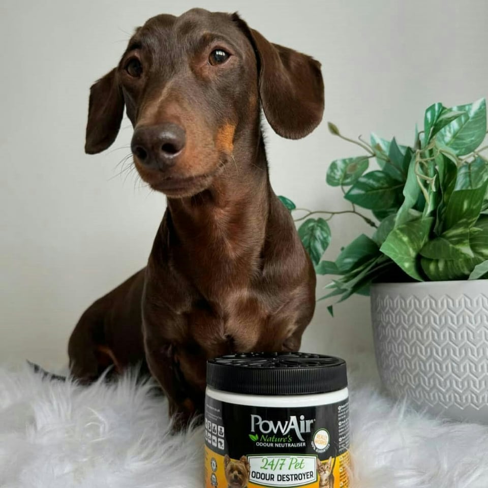 image 1 of PowAir 24/7 Pet Nature's Odour Neutraliser