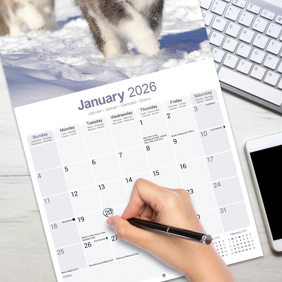 image 1 of Alaskan Malamute 2026 Calendar | Square Wall Calendar | Dog Breed Gift | Plastic Free Packaging | by Avonside Publishing