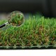 image 8 of Emerald 40mm Artificial Grass, Premium Quality Artificial Grass, 8 Years Warranty, Realistic Fake Grass, Plush Artificial Grass Green | 4m(13'1") X 2m(6'6")-8m²