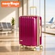 image 2 of Fergana 24 Inch Cabin Carry On Polycarbonate Hard Shell Suitcase Lightweight Spinner Luggage TSA Lock Purple
