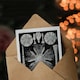 image 3 of Ernst Haeckel Art Card Echinidea Sea Urchin Species