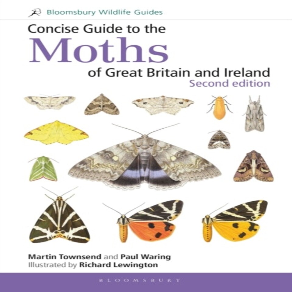 Concise Guide To The Moths Of Great Britain And Ireland: Second Edition