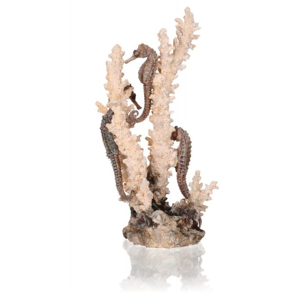 image 1 of biOrb Seahorse Ornaments - 'Natural'