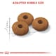 image 7 of ROYAL CANIN® Appetite Control Sterilised N/A | Size: 4kg
Breed: Adult