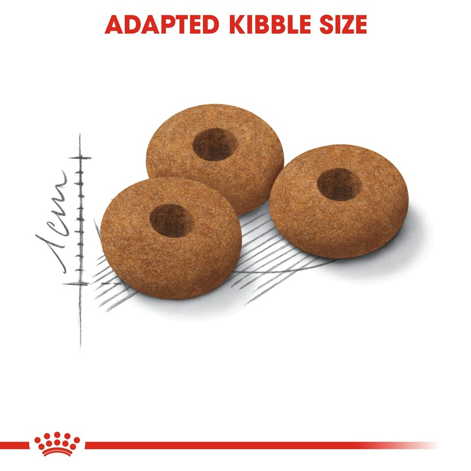 image 1 of ROYAL CANIN® Appetite Control Sterilised N/A | Size: 4kg
Breed: Adult