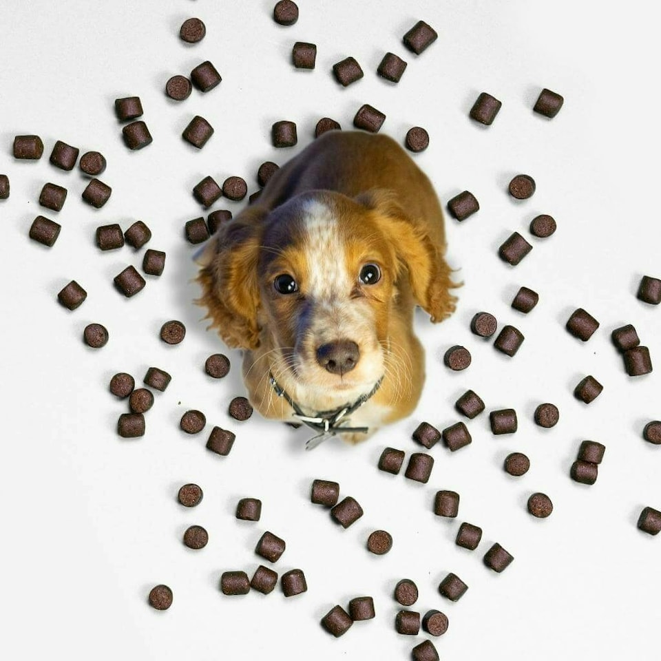 image 1 of 8-in-1 Multi-Action Treats