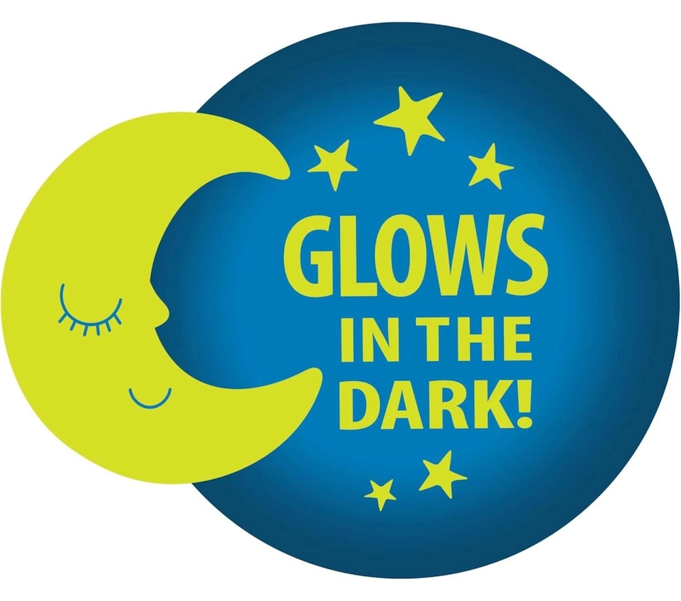 image 1 of Dr Browns Prevent Soothers Glow Dark Orthodontic Dummy Swan Dragonfly 0-6M
