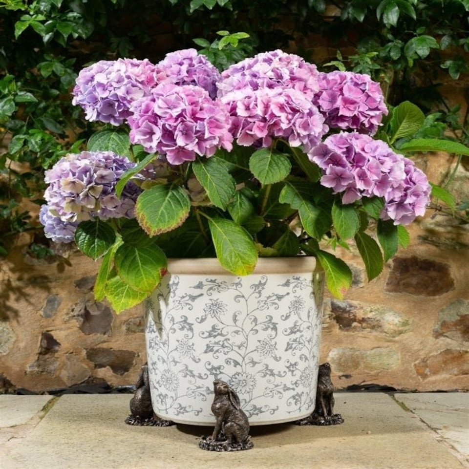 image 1 of Moongazing Hare Plant Pot Feet - Set of 3 Brown