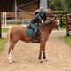 image 5 of Shires Aubrion Team Hat Silk Red | Colour: Red
Size: One Size