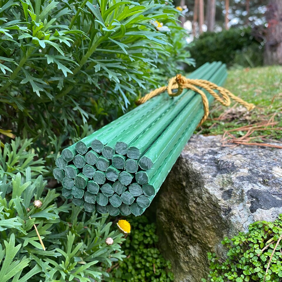 image 1 of Plastic Coated Metal Garden Plant Support Sticks (60cm) - Pack of 40