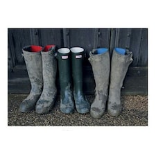 Kevin Milner Wellingtons Countryside Greetings Card - Multicoloured - One Size