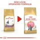 image 3 of Royal Canin Cat British Shorthair Kitten 10KG