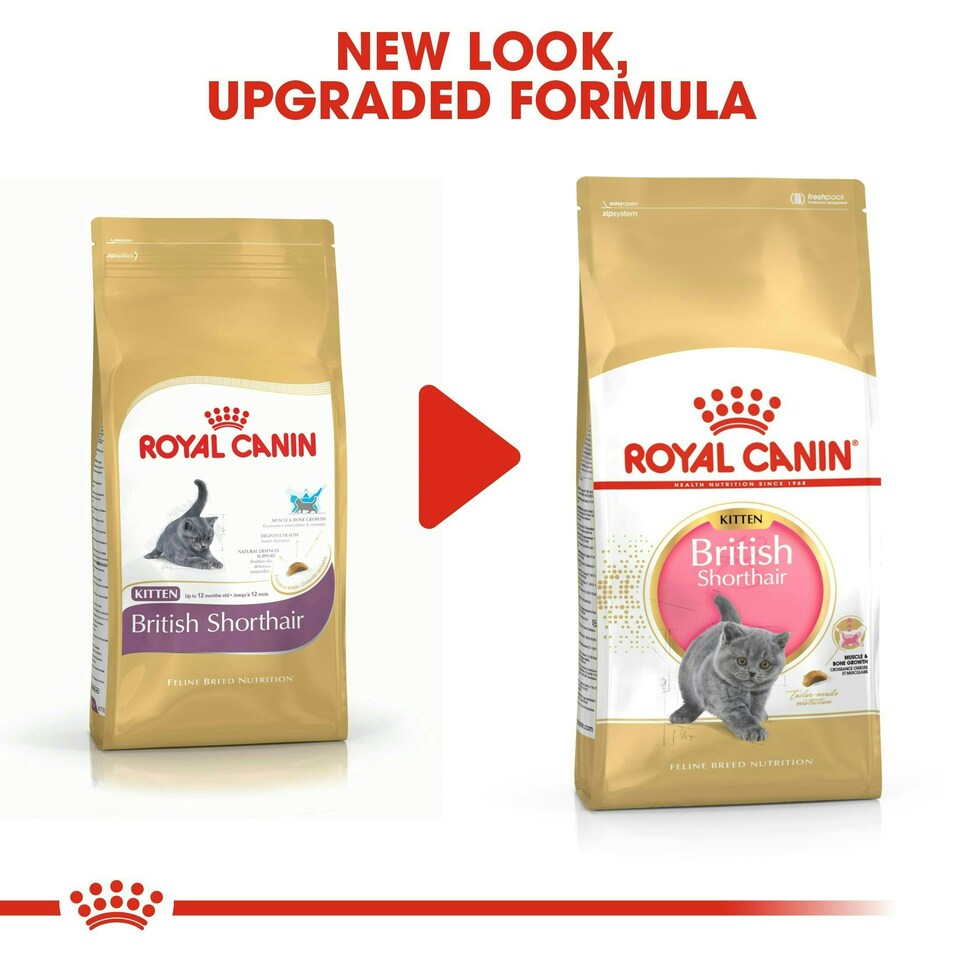 image 1 of Royal Canin Cat British Shorthair Kitten 10KG