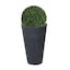 Black & Set of 1 - Selected