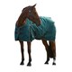 image 2 of Weatherbeeta Comfitec Classic Standard-Neck 220g Horse Turnout Rug | Green | Forest Green/Black | 5Ft | 1