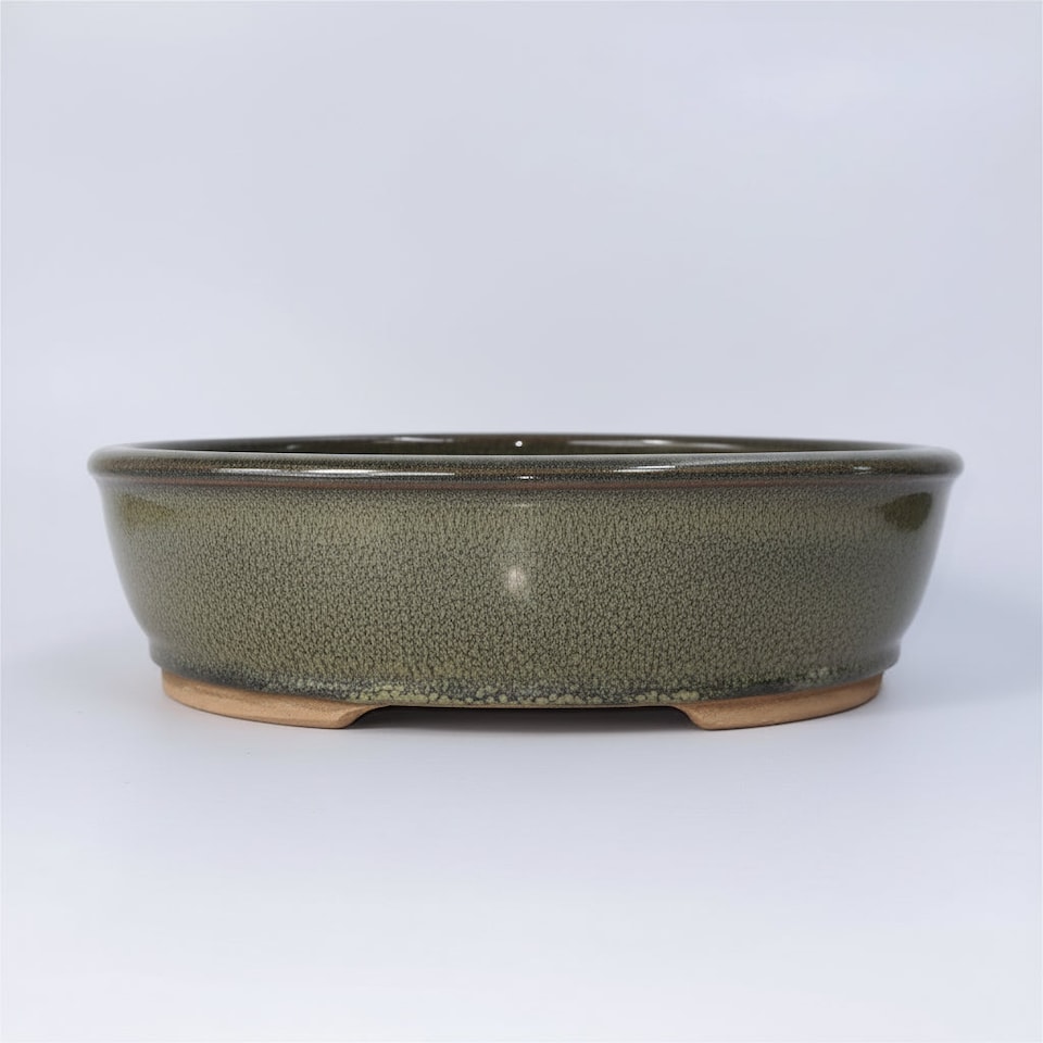 Yorkshire Bonsai 32cm Glazed Bonsai Pot Oval 32cm x 25cm x 9cm Green
