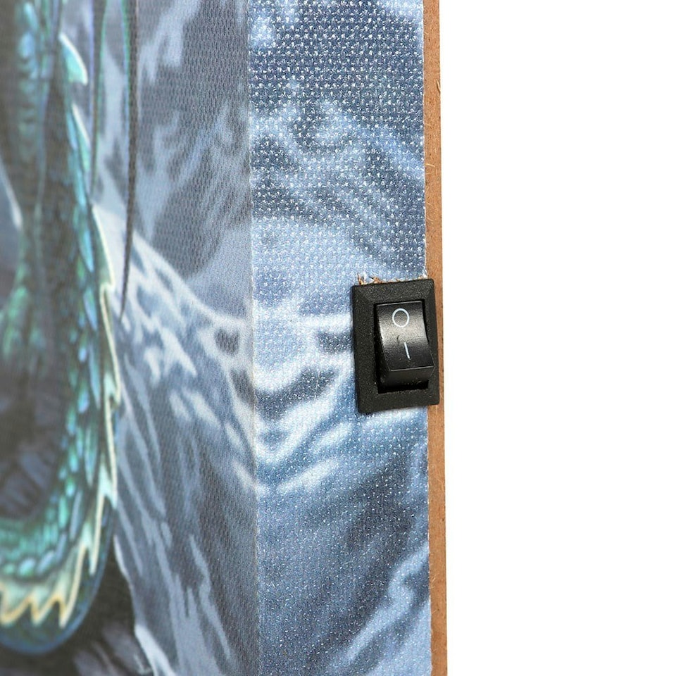 image 1 of Lisa Parker Protector Of Magick Light Up Canvas - Multicoloured - One Size | Multi