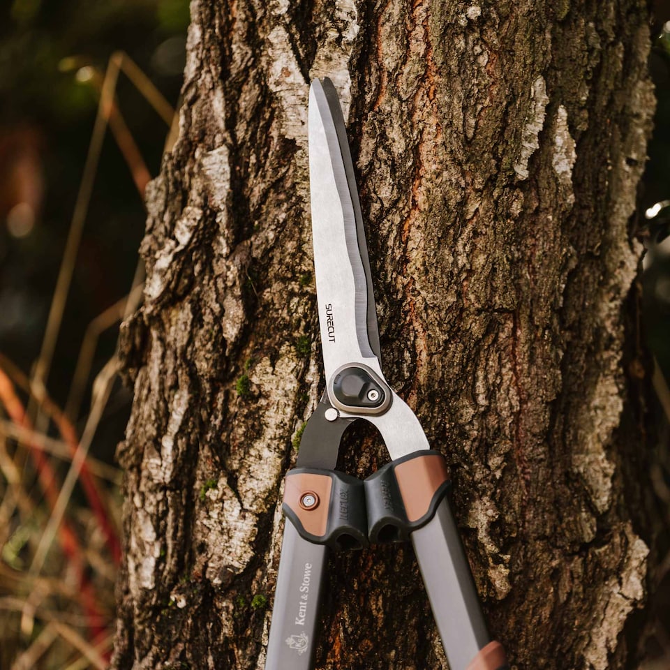 image 1 of Kent & Stowe SureCut Hedge Shears with SK5 Chrome-Coated Wavy Blades | Brown
