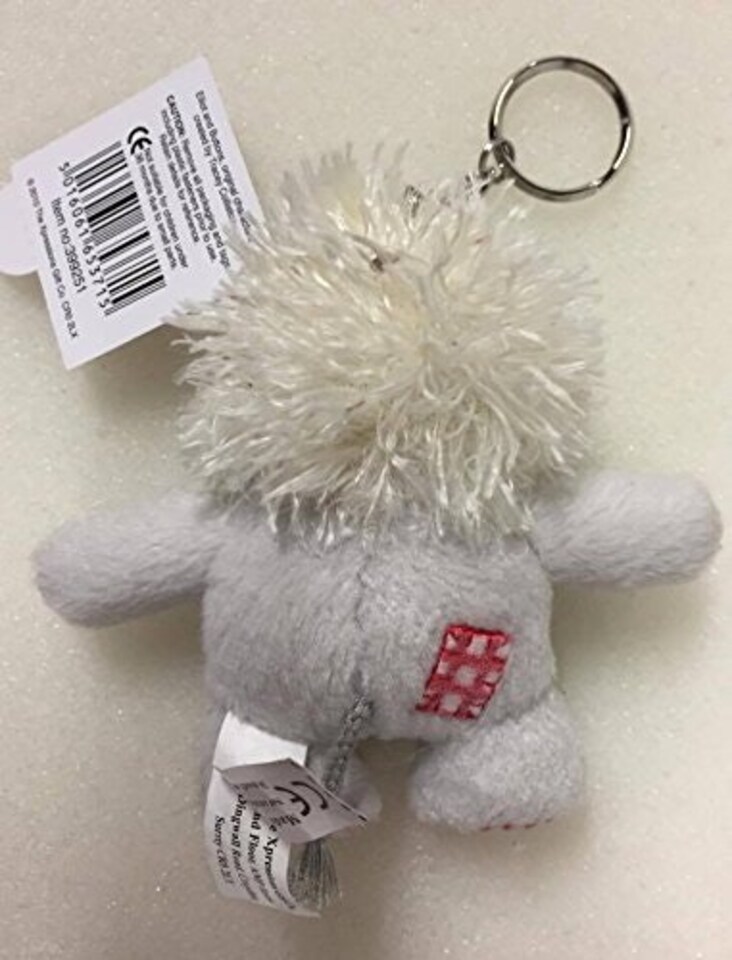 image 1 of No 1 Lloyd Lion Keyring