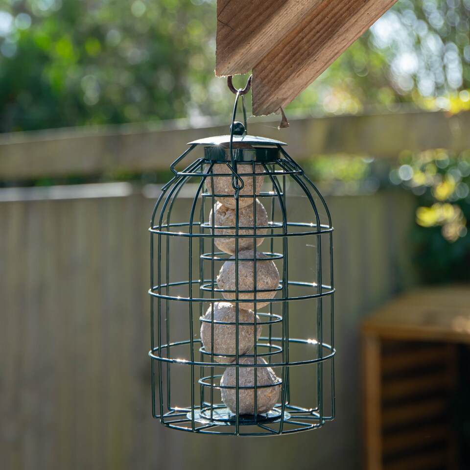 image 1 of Samuel Alexander Metal Hanging Bird Fat Ball Feeder with Squirrel Guard & Pack of 6 Suet Fat Balls