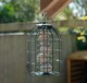 image 2 of Samuel Alexander Metal Hanging Bird Fat Ball Feeder with Squirrel Guard & Pack of 6 Suet Fat Balls