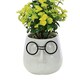 image 2 of Primrose Artificial House Plant in White Pot with Black Glasses Design 17cm