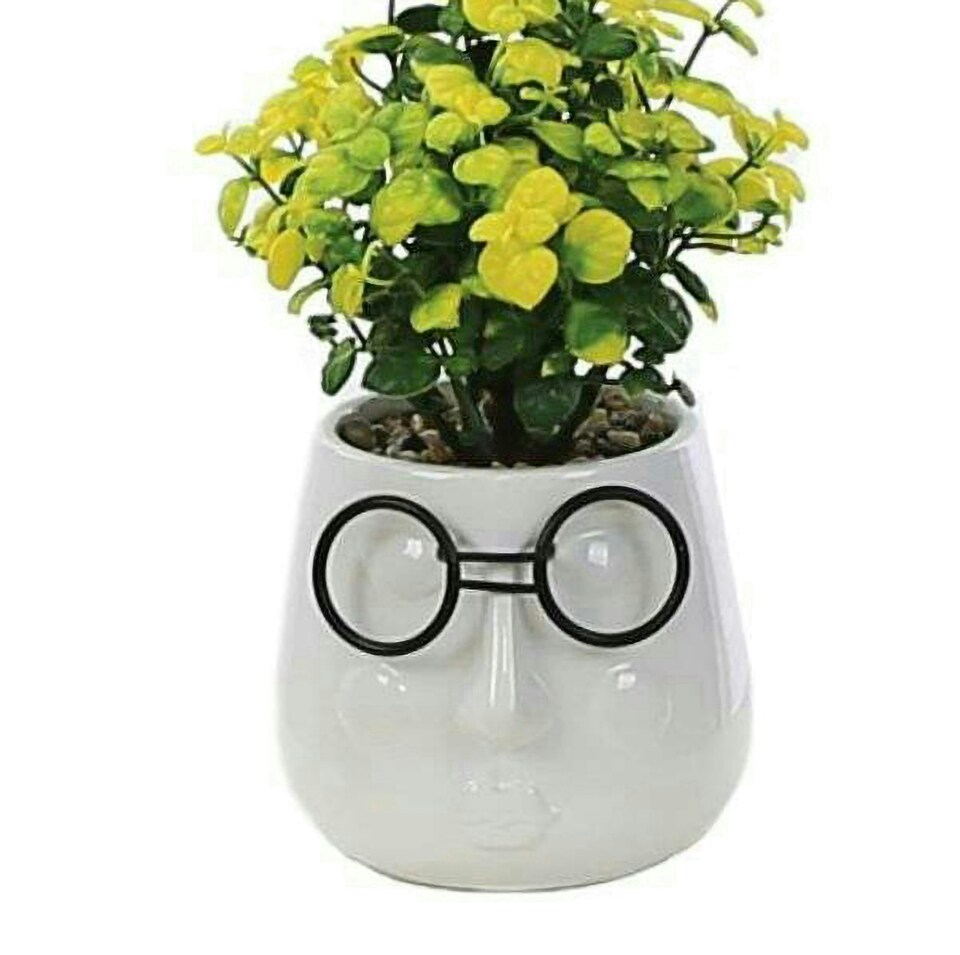 image 1 of Primrose Artificial House Plant in White Pot with Black Glasses Design 17cm