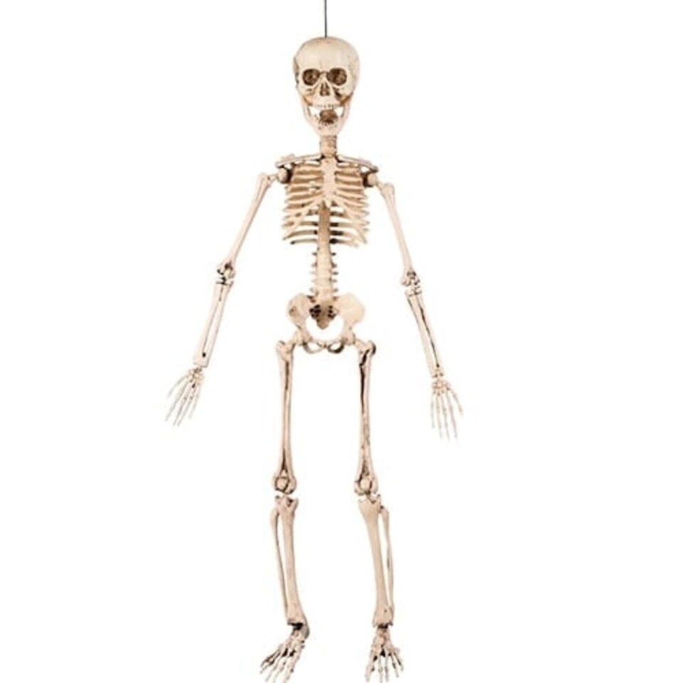 image 1 of Halloween Prop Movable Skeleton Hanging Decoration 50cm