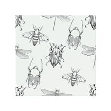 Sketch Of Scarab Beetle May Bug Bee And Dragonfly Splash Back | White