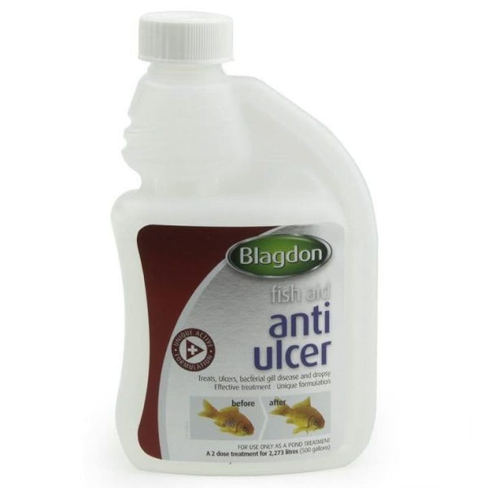 Blagdon Anti Ulcer Fish Treatment 250ml