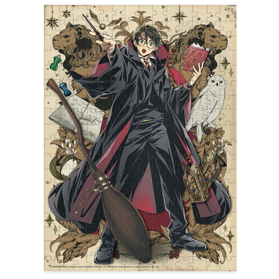 image 1 of Dodo Harry Potter Wizarding World 250 Piece Medium Jigsaw Puzzle