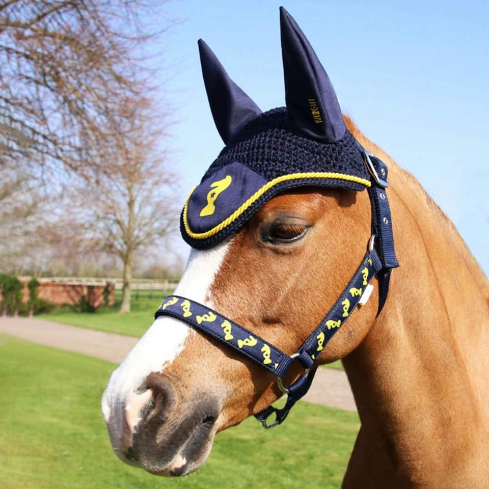 image 1 of Little Knight Lancelot Horse Fly Veil - Navy/Yellow - Small Pony