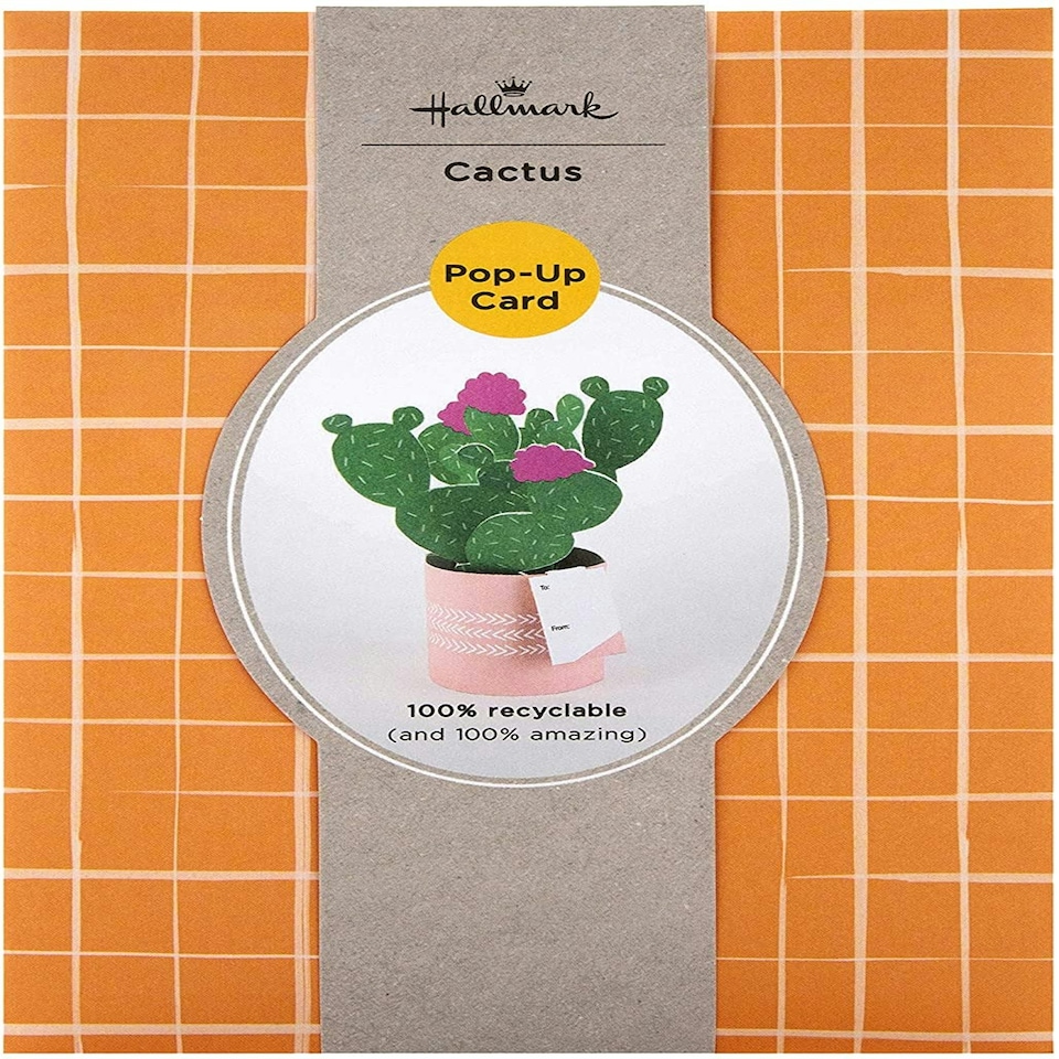image 1 of Contemporary Cactus Design Pop Up Card
