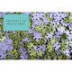 image 3 of Natural Grass - Impuzzible No.7 - 1000  Piece Jigsaw Puzzle