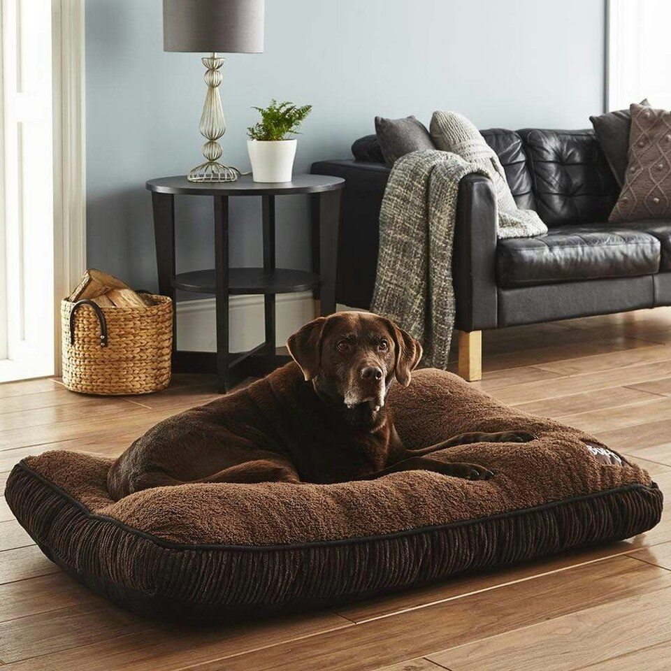 image 1 of Brown Dog Bed - Small To XL Sizes - Fleece - Bunty Snooze Brown | L