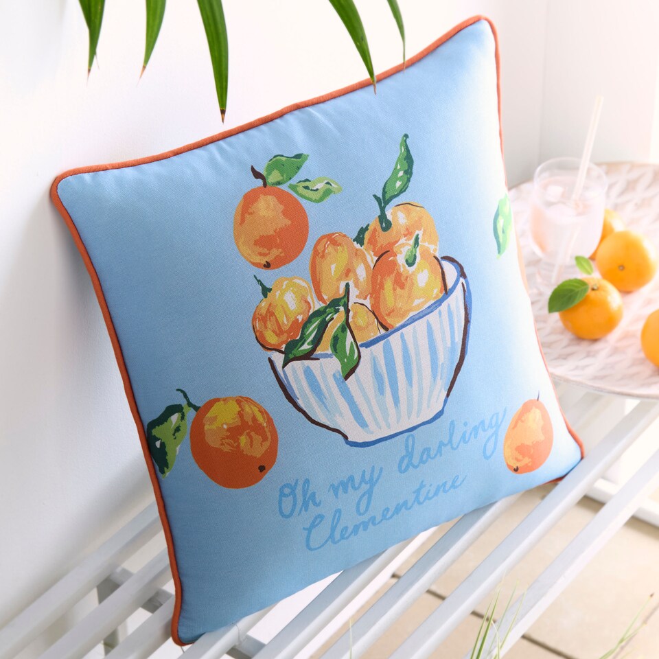 image 1 of Fusion My Darling Clementine Filled Cushion Multi