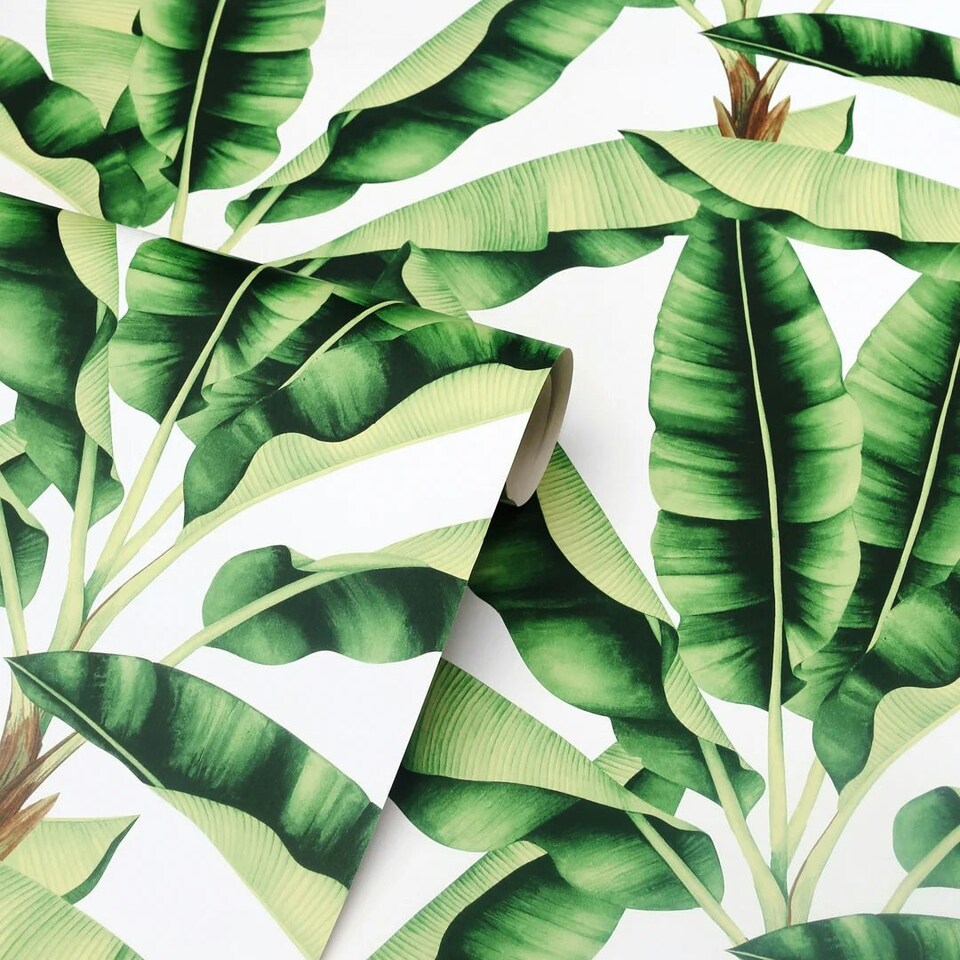 image 1 of Musa Wallpaper in Green Multi