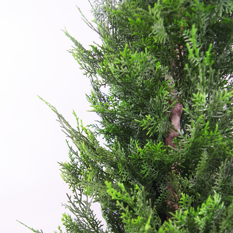 image 1 of Cypress Bushy Topiary Tree Artificial 120cm Plant | Green | One Size