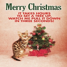 It Takes Hours To Set A Tree Up... - Funny Cat Christmas Card