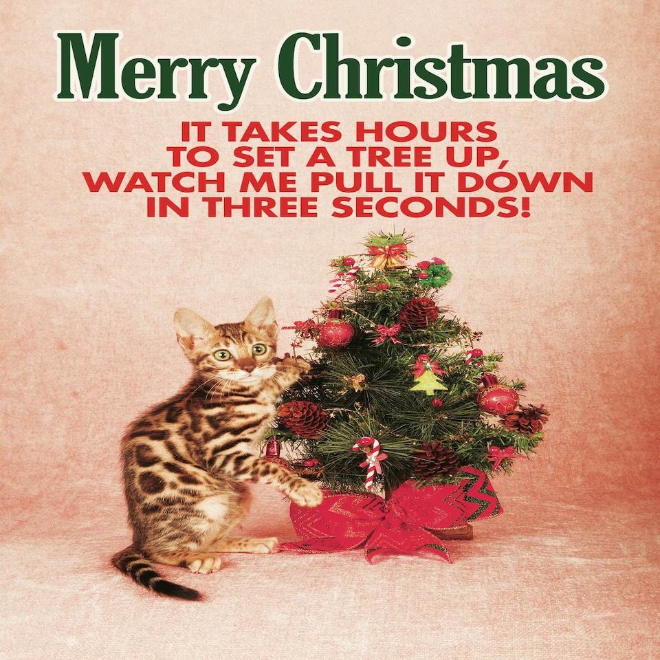 image 1 of It Takes Hours To Set A Tree Up... - Funny Cat Christmas Card