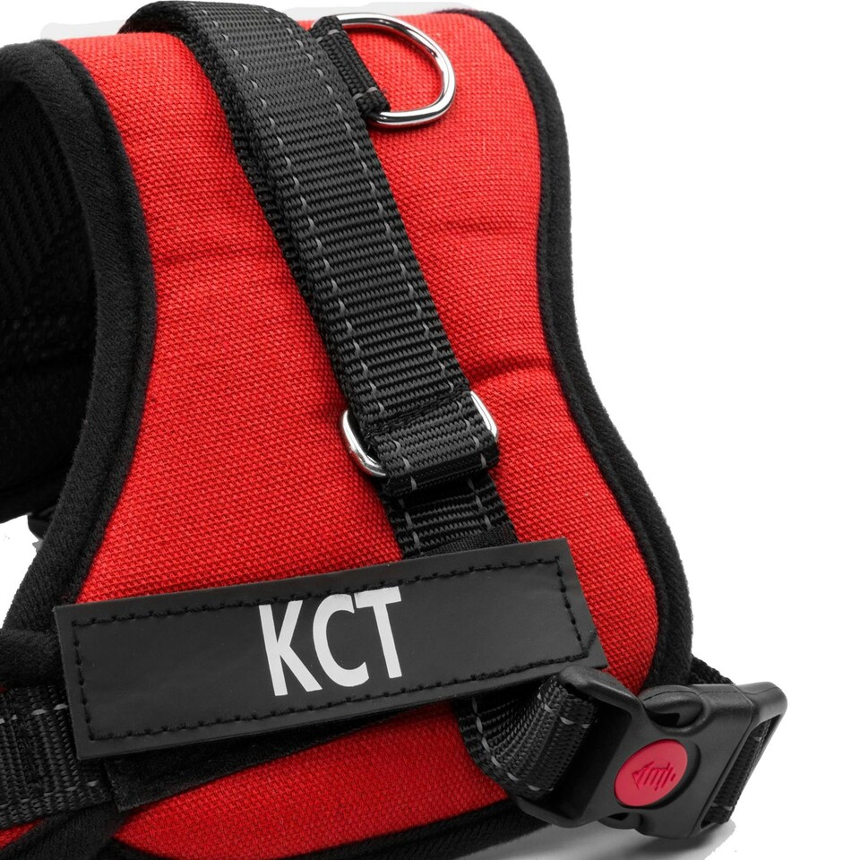 image 1 of KCT Large Red Padded Dog Harness Red | L