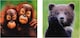 image 4 of National Geographic Photographic Animals Pack of 10 in 5 Designs Birthday Thank You Blank Cards