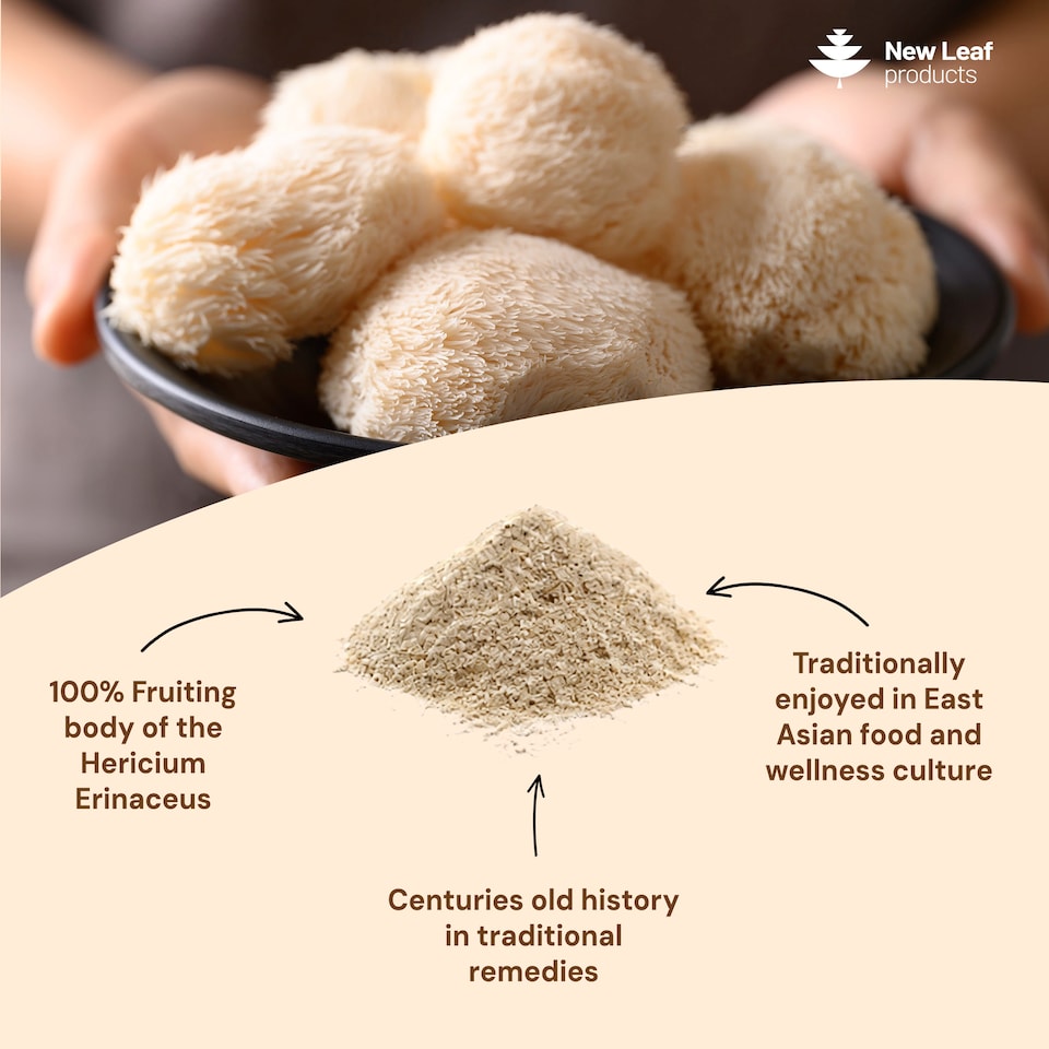image 1 of Lions Mane Mushroom Powder - 100% Fruiting Body