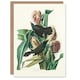 image 1 of John James Audubon Art Card Purple Grackle Crow Blackbird