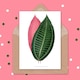 image 3 of Leaf Cyanophyllum Magnificum Art Blank Just to Say Card